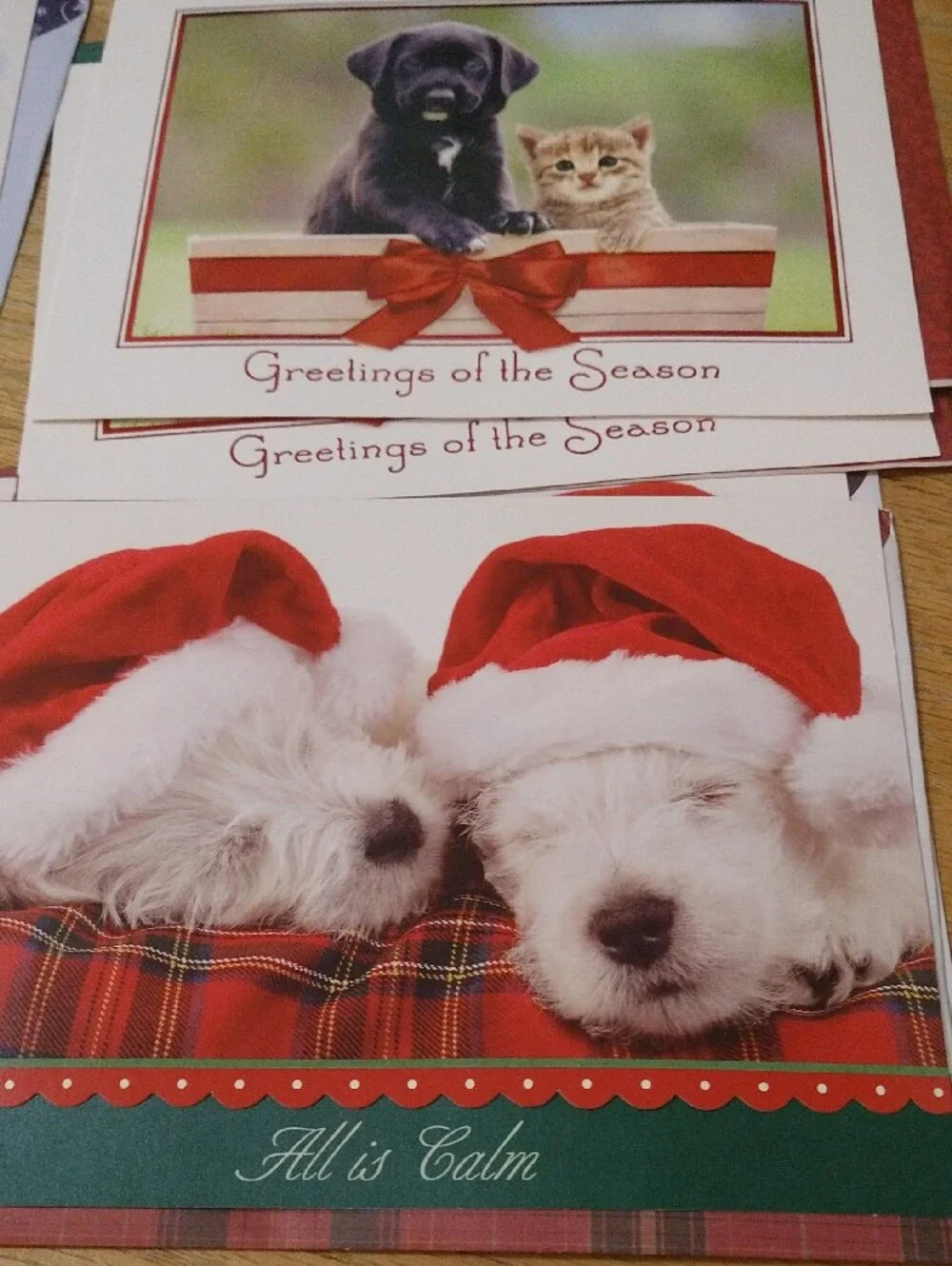 Animal Greeting Cards Assortment - Cats Dogs Birds Other